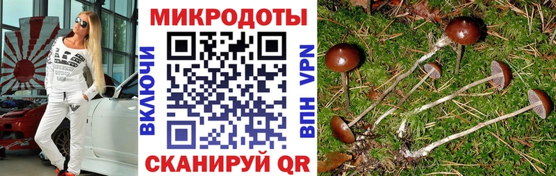 Галлюциногенные грибы Psilocybine cubensis  KRAKEN зеркало  Новомичуринск  купить наркотик 