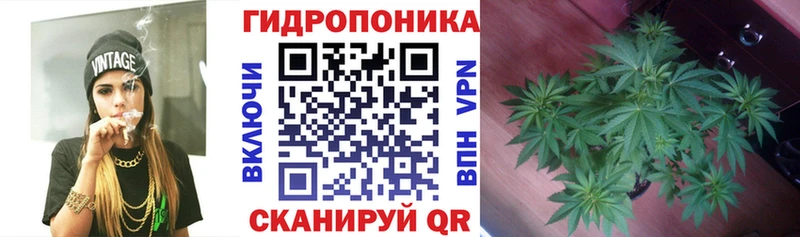 наркотики  Новомичуринск  Канабис SATIVA & INDICA 